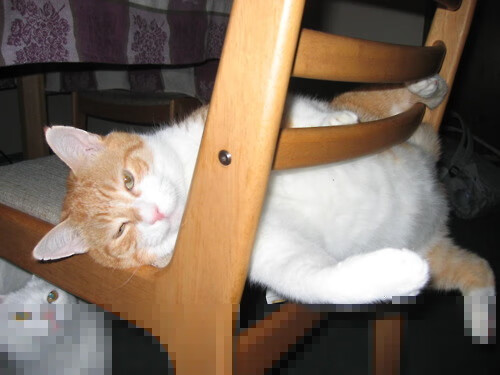 冰与火之歌,利拉德盐湖城攻防转换艺术全纪实