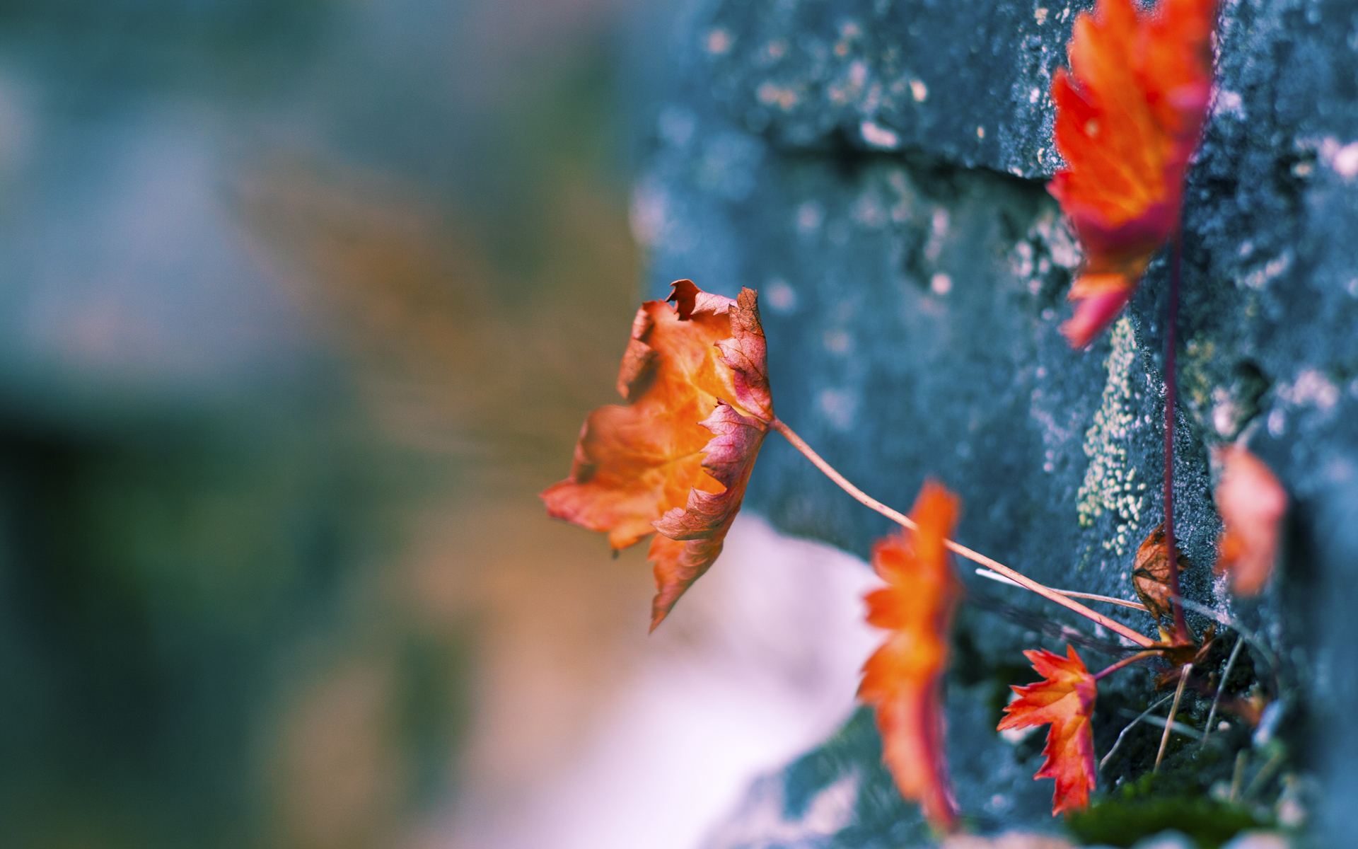 切特核爆式觉醒，天山剑气斩断汾河波涛