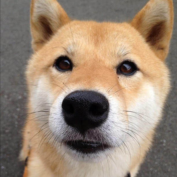 爱游戏大厅-罗德里关键时刻挺身而出，土耳其对阵切尔西的经典战役