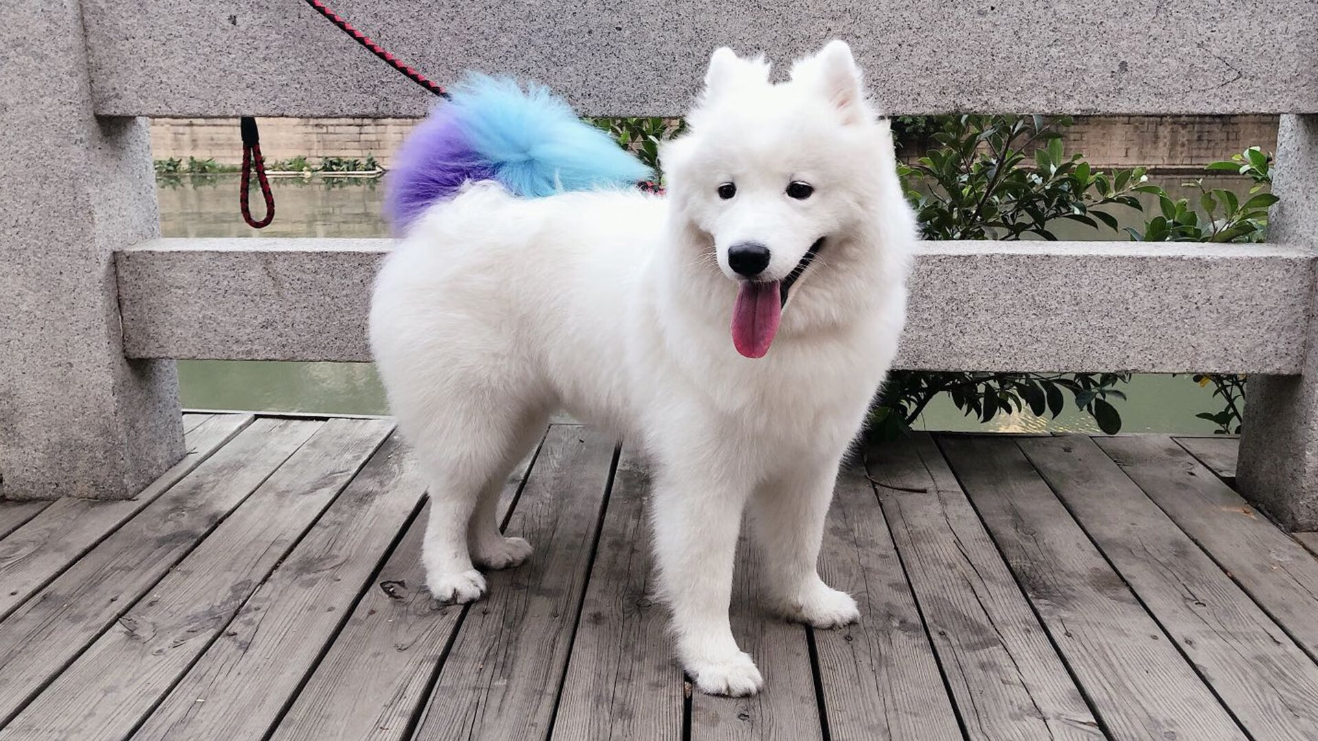 爱游戏入口-黄潜艇沉没墨西哥城，奥纳纳一夫当关