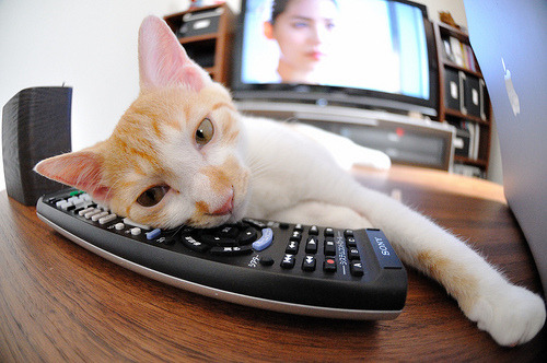 约基奇式高能交响乐,当丹佛引擎以全功率驱动,爵士与雄鹿的战术板同时失效