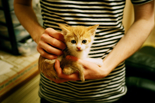 爱游戏大厅-量子纠缠，当太阳打穿篮网，库里在美加墨世界杯接管比赛