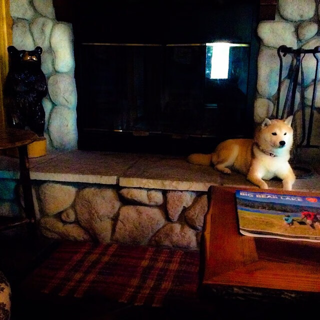 旋律与野性，墨西哥的战术交响如何让摩纳哥失声，凯塞多的稳定器作用