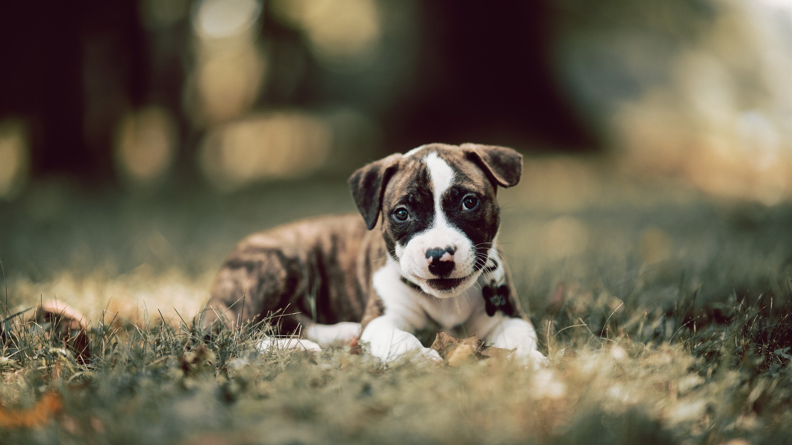 爱游戏下载-东决夜，死神刻度在德罗赞的呼吸里