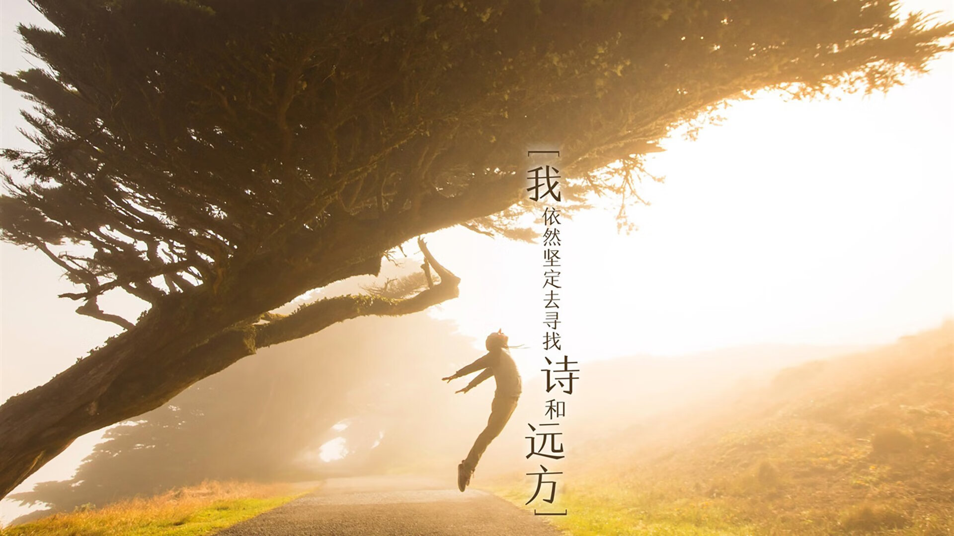 纽约风暴吞噬金州,一场改写联盟格局的排位绞杀战