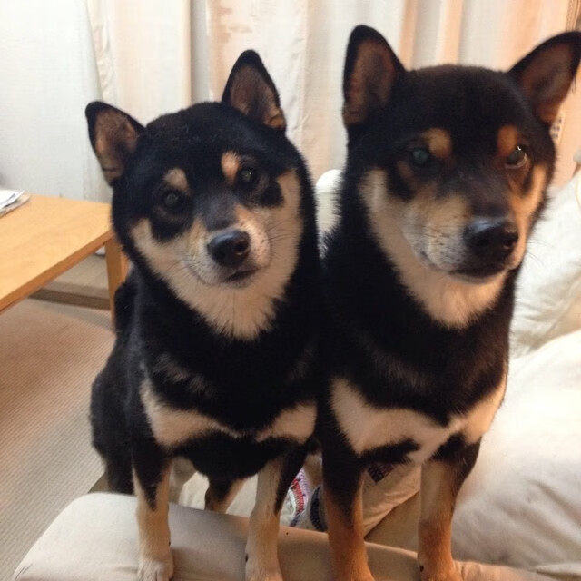 纽约风暴吞噬金州,一场改写联盟格局的排位绞杀战