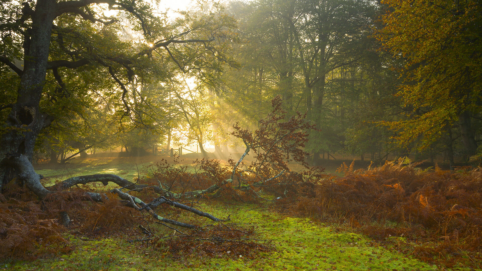 卡拉斯科爆发,一个人的战争,映照一支球队的蜕变