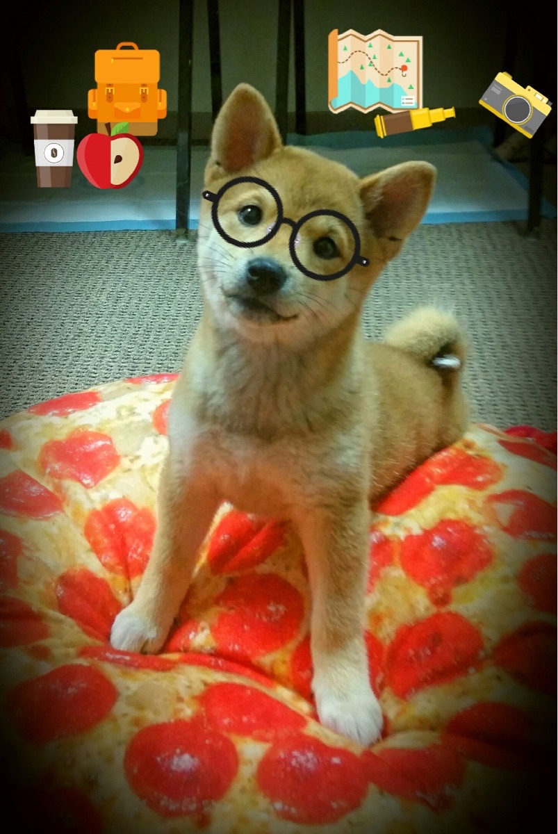 爱游戏官网-阿拉巴爆发！土耳其用沙漠风暴奇袭战术制霸克罗地亚