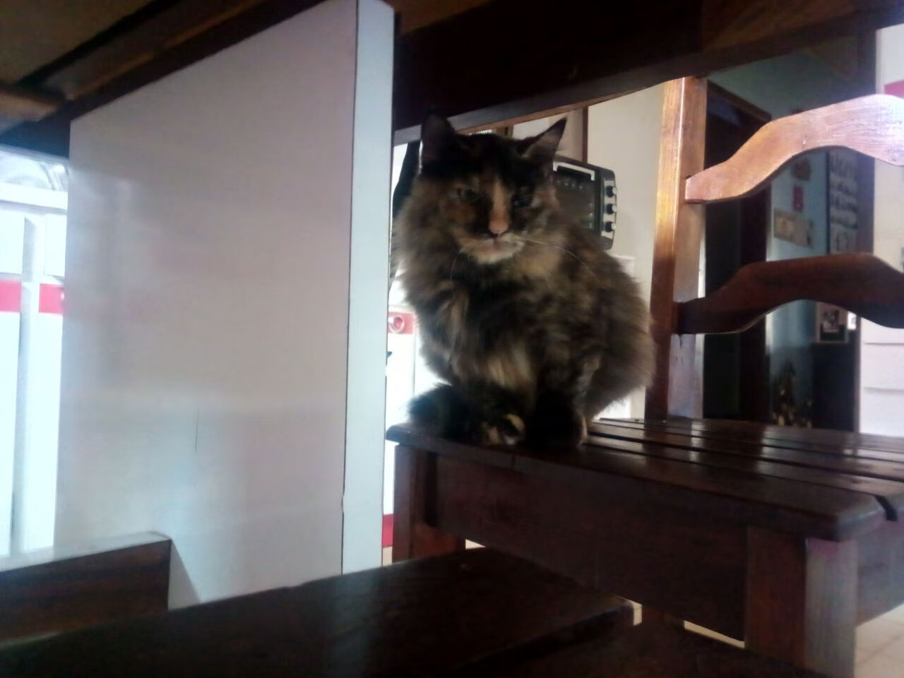 爱游戏娱乐-篮球世界的终结与接管，浙江队击败深圳队，拉文西决生死战称王